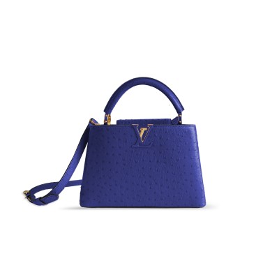 LOUIS VUITTON CAPUCINES BB N89022 (27*18*9cm) LOUIS VUITTON CAPUCINES BB N89022 (27*18*9cm)